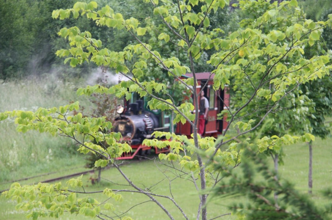 Ārlava wooden train